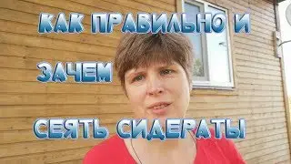Сидераты.Зачем и как сеять