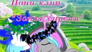 Пони клип 