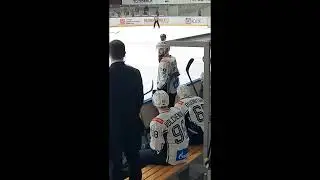 ❗Матч Динамо (Санкт Петербург)vs Челмет/ВХЛ/1 период ❗
