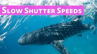 The Slow Shutter Speed Effect