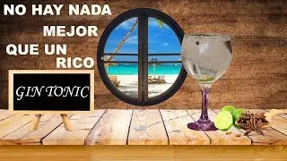 Cómo Hacer el Gin Tonic Perfecto 🍸 – Trucos de Barman