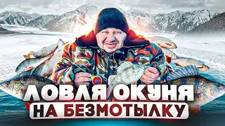 Ловля окуня на безмотылку