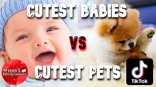 Cutest Babies VS Cutest Pets - TikTok Compilation
