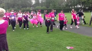 Walsall Arboretum Race for Life (Cancer Research) 19 May 2013