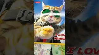 Харьков Магазин #shorts