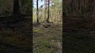 25 августа 2024 г.