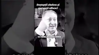 Vali Vijelie "e o vorba,deștepții chelesc și curvarii albesc"