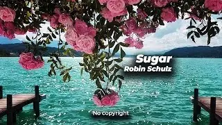 SUGAR - Robin Schulz 🎵 [NO COPYRIGHT REMIX]