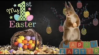 I Gave my Little Squirrel an Easter Basket