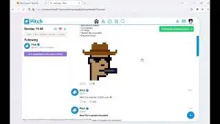 A guide to access the darkweb forum Pitch 