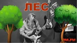 (Конкурс от John Kalligan и Fender) GM FM - ЛЕС