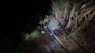 BYŁ SPONTAN... BYŁY EMOCJE... BYŁY WIELKIE RYBY Z PZW!