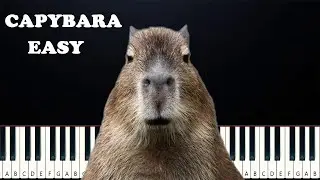 Capybara Tik Tok Song (EASY Beginner Piano Tutorial)