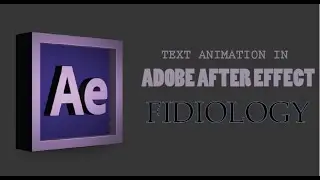 Text Animation In After Effect