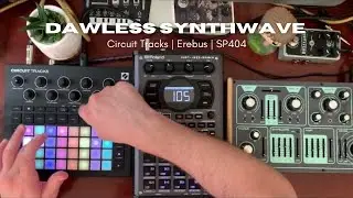 Making Dawless Synthwave//My Favorite Minimal Setup So Far | Circuit/Erebus/SP404