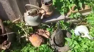 Демонтаж старого дома видео №2