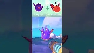Every Batty Slime Largo Combo (Updated) | Slime Rancher 2 (Early Access)