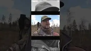 Чем чаще, тем меньше пузо будет 