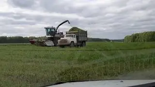 Уборка клевера (2 укос) на силос. ДОН-680, ЗИЛ