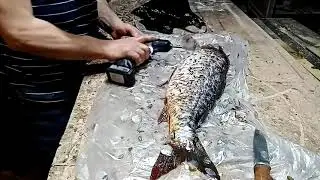 Как я чистил САЗАНА