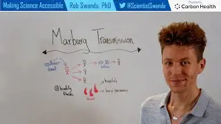 Marburg Virus Transmission