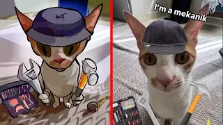 Cat Memes: I am a Mekanik