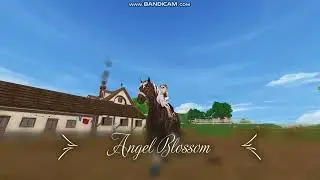 Star Stable- Buying Birkir and Hanami Plus Pets!