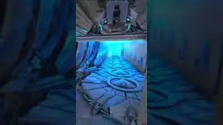 What is like to clone in a 1000+ member Mega Tribe. 