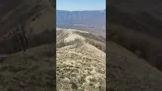 Они хотели быть первыми!