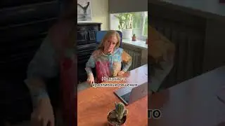 Главное, иметь возможность уйти