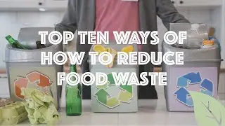 Top 10 Ways of How to Reduce Food Waste