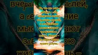 #shurts ,#мудрость ,#пожеланиедрузьям ,#цитаты ,#мысли ,#motivation ,#высказывания ,#умные ,#жизнь