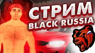 Стрим Black Russia | Работаю Дольнабоем