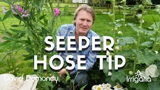 Quick Tip: Maximise the power of your seeper hose