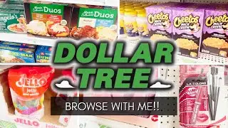 🤩SEE WHATS NEW THIS WEEK AT DOLLAR TREE! FROZEN FOOD, SNACKS, DUPES, AND MORE! COME BROWSE WITH ME!