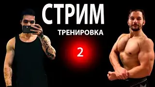 # 2 Апокриф тренирует Дайниса