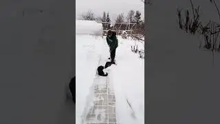 Первый день зимы