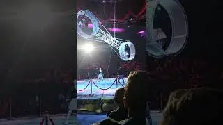 1 декабря 2023 г.