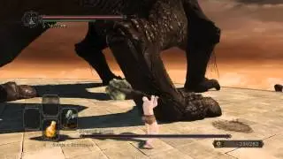 Dark souls 2 Древний дракон. Ковенант Чемпиона NG+
