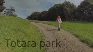 Totara park, Auckland, New Zealand
