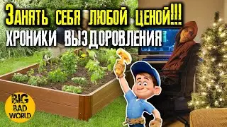 Building a Raised Bed for Vegetables! Where to Buy Cheap Tools in the USA?