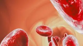 Free Footage: Blood cells traveling through a vein