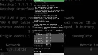 Fortinet NSE 4  Dynamic Routing BGP LAB