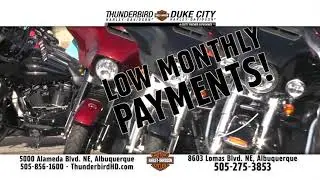 Thunderbird Harley Davidson - Jamaican Me Crazy!