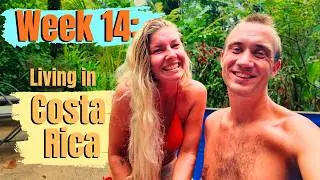 Week 14: Wildlife in Costa Rica Is Unreal… Our Final Weeks