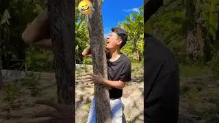 Kasihan Papoy Aletha nabrak Pohon😂 