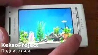 KeksoProject. Обзор Fish Predator, Gravity Defied, Виселица для Android.