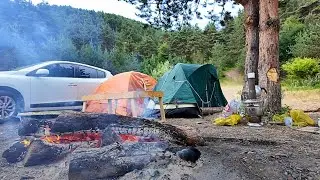 We Spent a Day in the Bear Forest! | Tent Camping Adventure