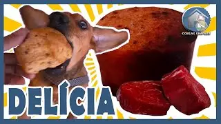 UNBOXING - PANETONE CANINO