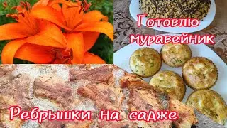 Приготовили рёбрышки на садже // Посеяла редиску // Приготовила муравейник и ленивые пирожки